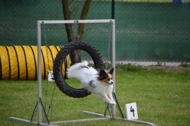 agility